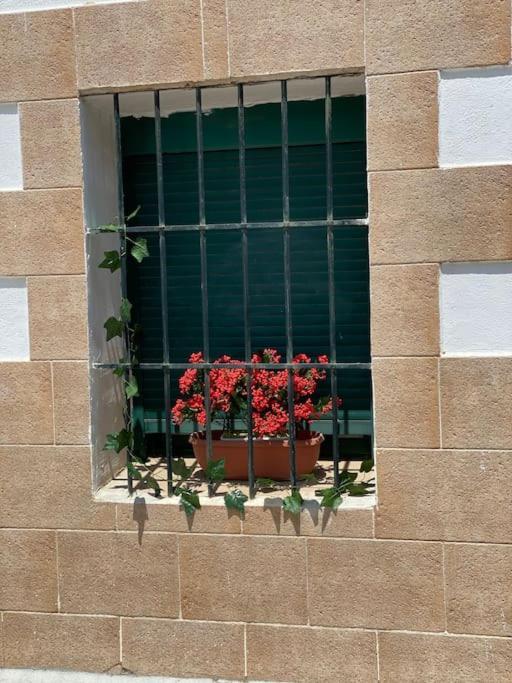Torrejon del Rey El Rincon Del Rey 아파트 외부 사진